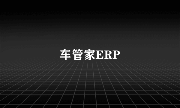 车管家ERP