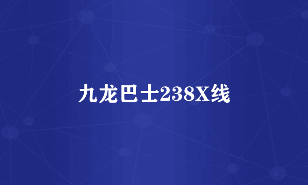 九龙巴士238X线