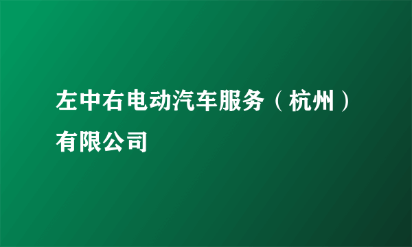 左中右电动汽车服务（杭州）有限公司