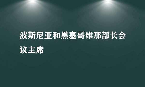 波斯尼亚和黑塞哥维那部长会议主席