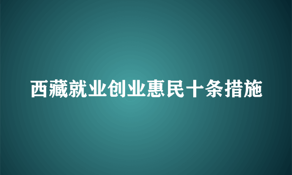 西藏就业创业惠民十条措施