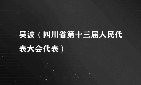 吴波（四川省第十三届人民代表大会代表）