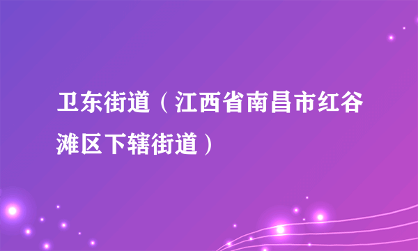 卫东街道（江西省南昌市红谷滩区下辖街道）