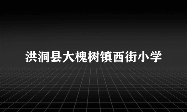 洪洞县大槐树镇西街小学