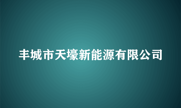 丰城市天壕新能源有限公司