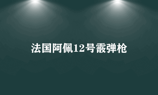 法国阿佩12号霰弹枪