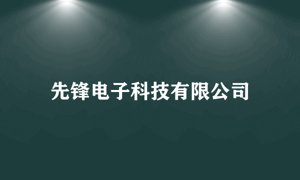 先锋电子科技有限公司