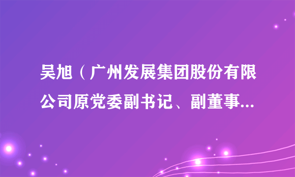 吴旭（广州发展集团股份有限公司原党委副书记、副董事长、总经理）