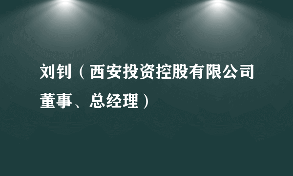 刘钊（西安投资控股有限公司董事、总经理）