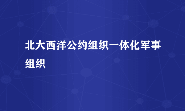 北大西洋公约组织一体化军事组织