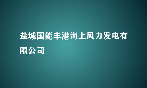 盐城国能丰港海上风力发电有限公司