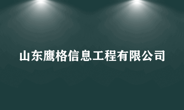 山东鹰格信息工程有限公司