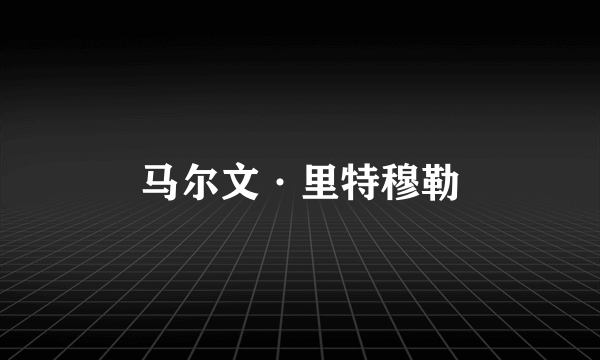 马尔文·里特穆勒