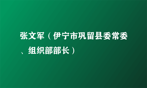 张文军（伊宁市巩留县委常委、组织部部长）