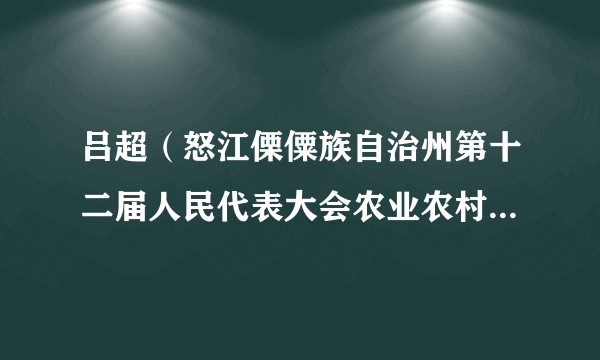 吕超（怒江傈僳族自治州第十二届人民代表大会农业农村和环境资源保护委员会主任委员）