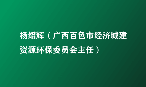 杨绍辉（广西百色市经济城建资源环保委员会主任）