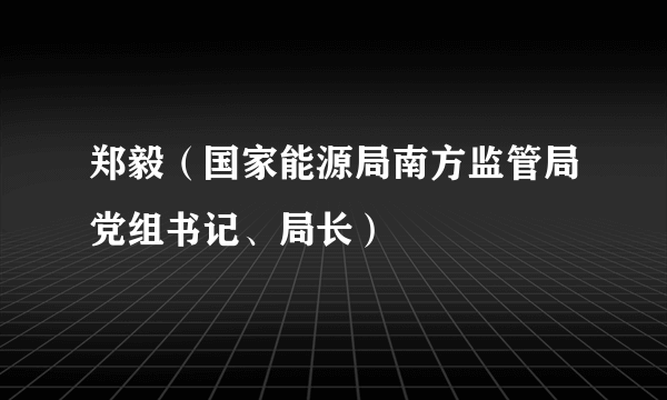 郑毅（国家能源局南方监管局党组书记、局长）