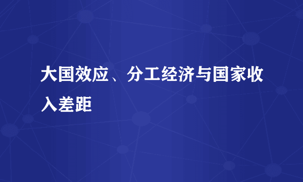 大国效应、分工经济与国家收入差距