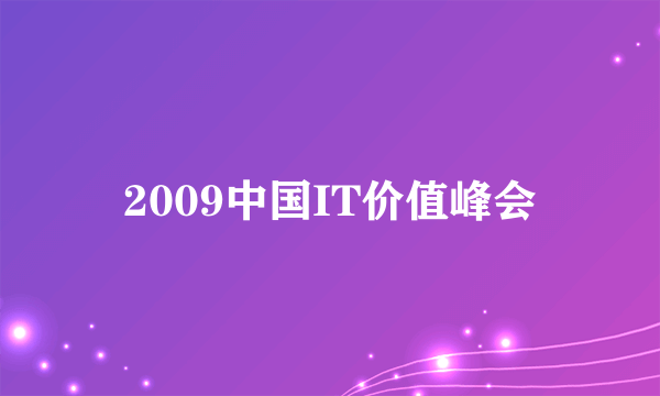 2009中国IT价值峰会