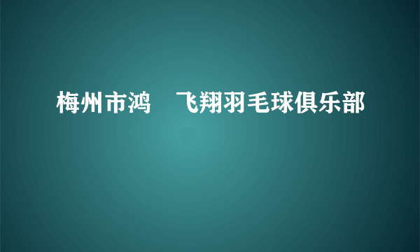 梅州市鸿燊飞翔羽毛球俱乐部