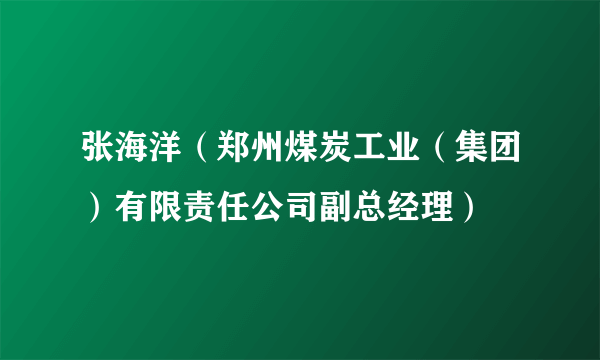 张海洋（郑州煤炭工业（集团）有限责任公司副总经理）