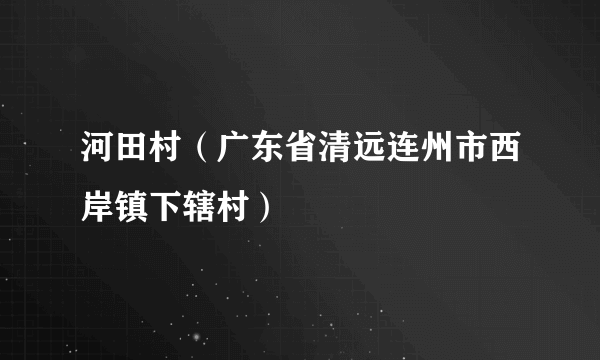 河田村（广东省清远连州市西岸镇下辖村）