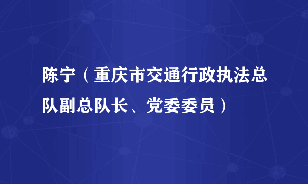 陈宁（重庆市交通行政执法总队副总队长、党委委员）