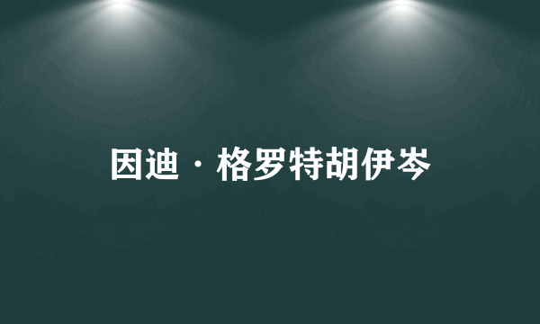 因迪·格罗特胡伊岑