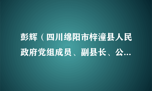 彭辉（四川绵阳市梓潼县人民政府党组成员、副县长、公安局党委书记、局长、四级高级警长）