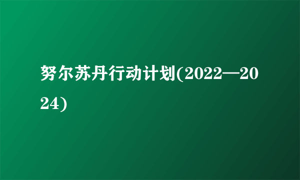 努尔苏丹行动计划(2022—2024)