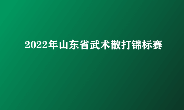 2022年山东省武术散打锦标赛