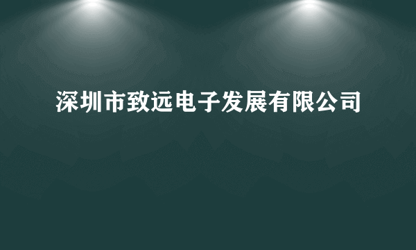 深圳市致远电子发展有限公司