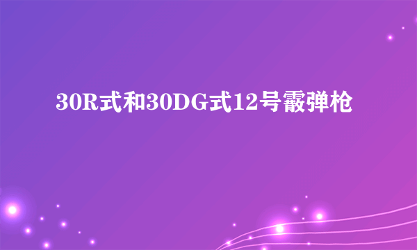 30R式和30DG式12号霰弹枪