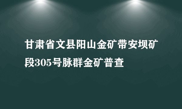 甘肃省文县阳山金矿带安坝矿段305号脉群金矿普查