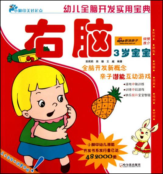 幼儿全脑开发实用宝典：3岁宝宝·右脑