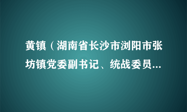 黄镇（湖南省长沙市浏阳市张坊镇党委副书记、统战委员、工会联合会主席）