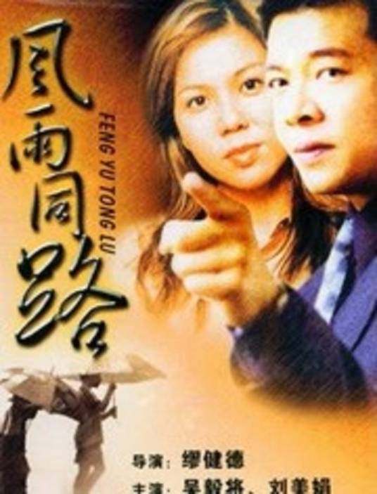 风雨同路(1994)