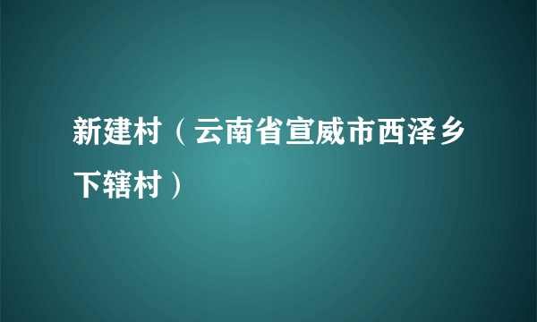 新建村（云南省宣威市西泽乡下辖村）