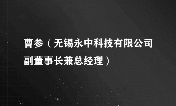 曹参（无锡永中科技有限公司副董事长兼总经理）