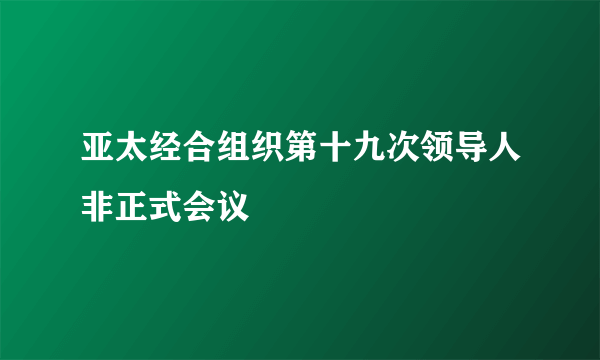 亚太经合组织第十九次领导人非正式会议