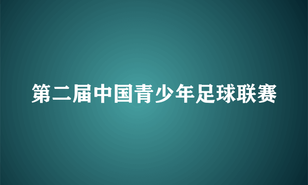 第二届中国青少年足球联赛