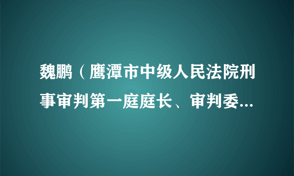 魏鹏（鹰潭市中级人民法院刑事审判第一庭庭长、审判委员会委员、审判员、四级高级法官）