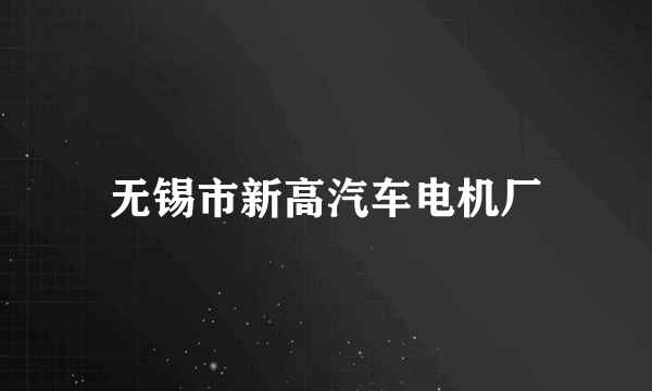 无锡市新高汽车电机厂