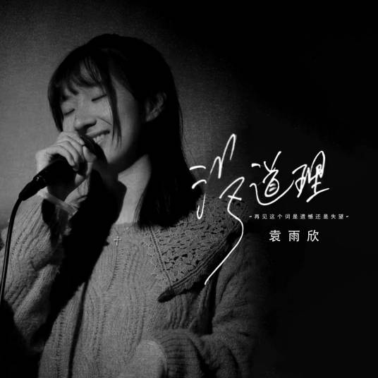 没道理（袁雨欣演唱歌曲）