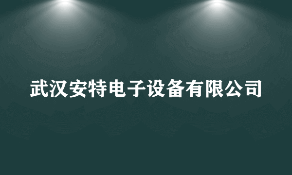 武汉安特电子设备有限公司