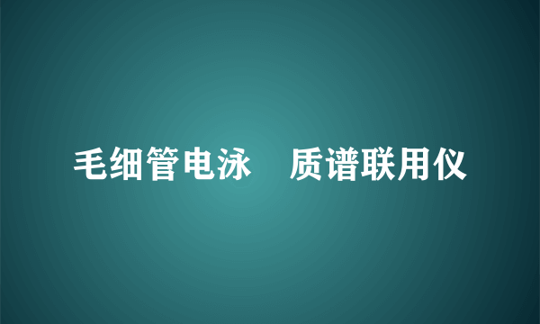 毛细管电泳–质谱联用仪