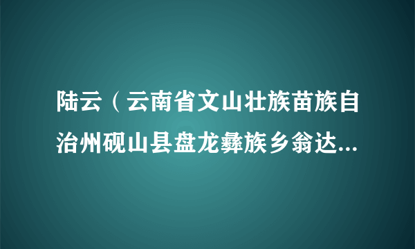 陆云（云南省文山壮族苗族自治州砚山县盘龙彝族乡翁达村委会长箐村农民）