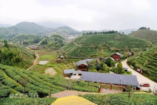 大田大仙峰·茶美人景区