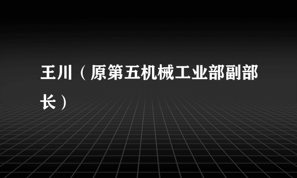 王川（原第五机械工业部副部长）