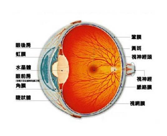 物理感受器